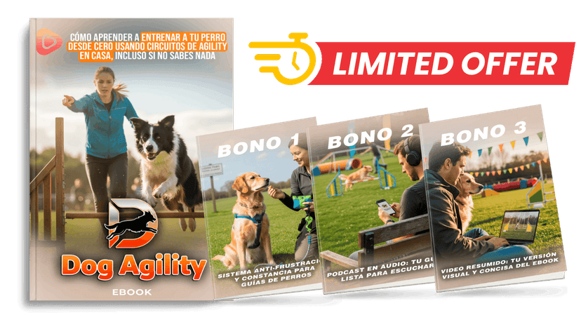 Pack Dog Agility Completo